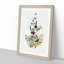 Beautiful Wrens by Elizabeth Gould - Single Picture Frame Painting-55543948-55543951