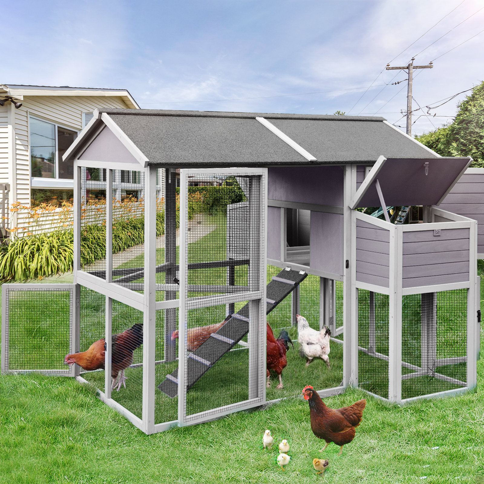 Chicken Coops For Less 2024 