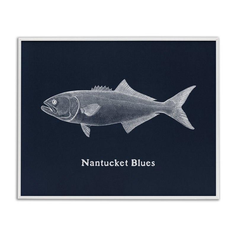 Giclée encadrée Nantucket Blues Fish, design par Phillipa Katz, H 11 po x l 14 po