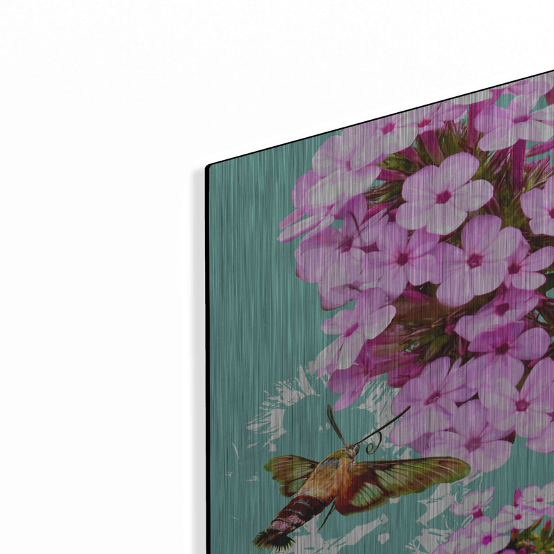 " Clearwing On Flox " by Evelia Designs, 16" H x 12" W