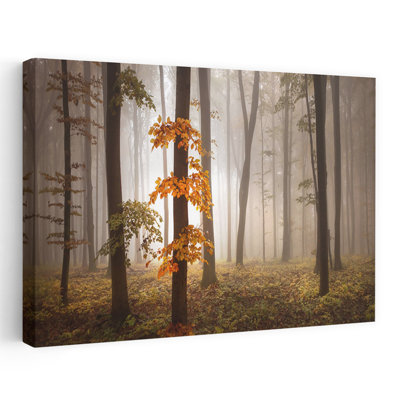 Misty Autumn Forest Ethereal Peaceful Serene Autumn Forest Wall Art