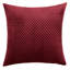 Aspire Homeware Embossed Square Velvet Cushion Cover-122221116-122903585