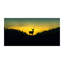 Deer - No Frame Print on Glass-921225975-921236608