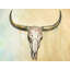 Cow Skull Print On Canvas