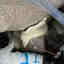 Customer photo 7 of 8