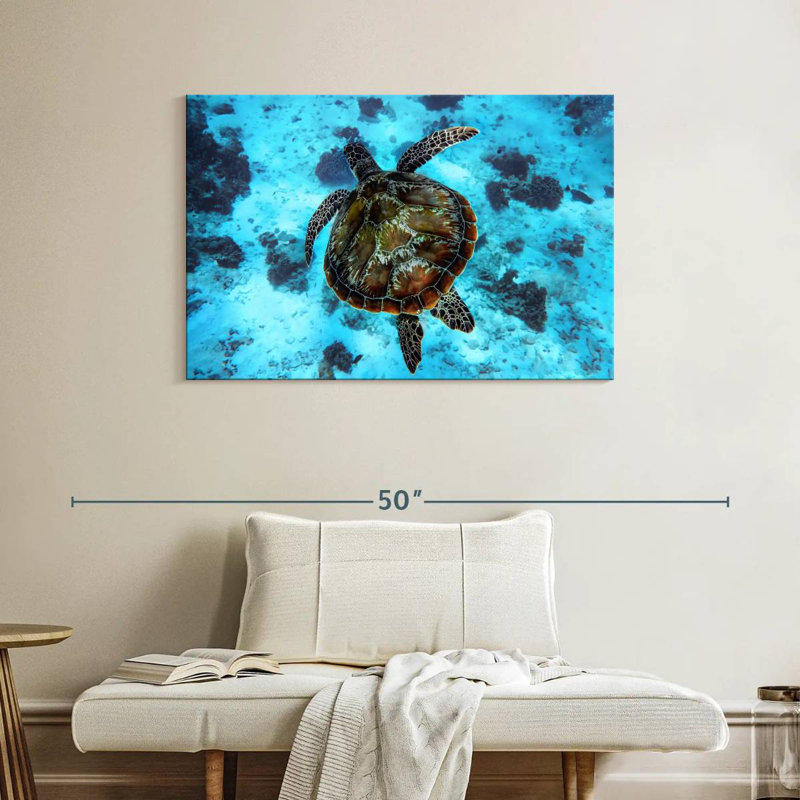 Brampt Turtle Habitat, 26" H x 39" W