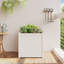 Wooden Kogut Flower Box-405243215-405712114-450382482