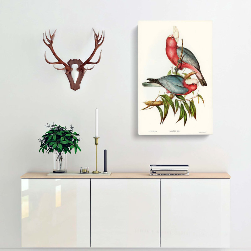 Rose-Breasted Cockatoos by Elizabeth Gould - Wrapped Canvas Print, 60cm H x 40cm W x 3cm D