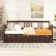 Storage Sleeper Platform Bed Full Size Multi-Functional Solid Wood White-Toned Daybed With Two Drawers