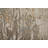 Roby Abstract Indoor Rug-862067115