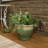 Berlina Round Imperial Ceramic Outdoor Planter - Seafoam - 15"-2096414548-2096375820
