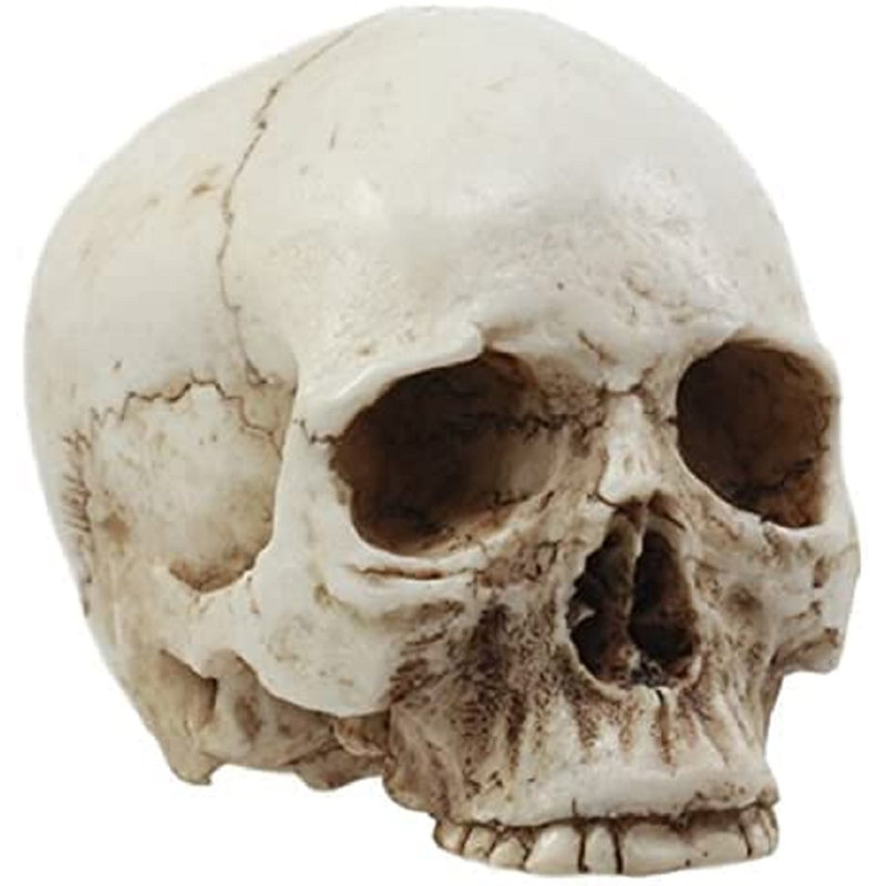 Figurine Daniellerose Homo Sapiens