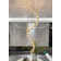 Krea 20 - Light Crystal Dimmable LED Linear Chandelier