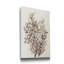 Reproduction d’art sur toile tendue « Leaf arrangement IV »-875025611