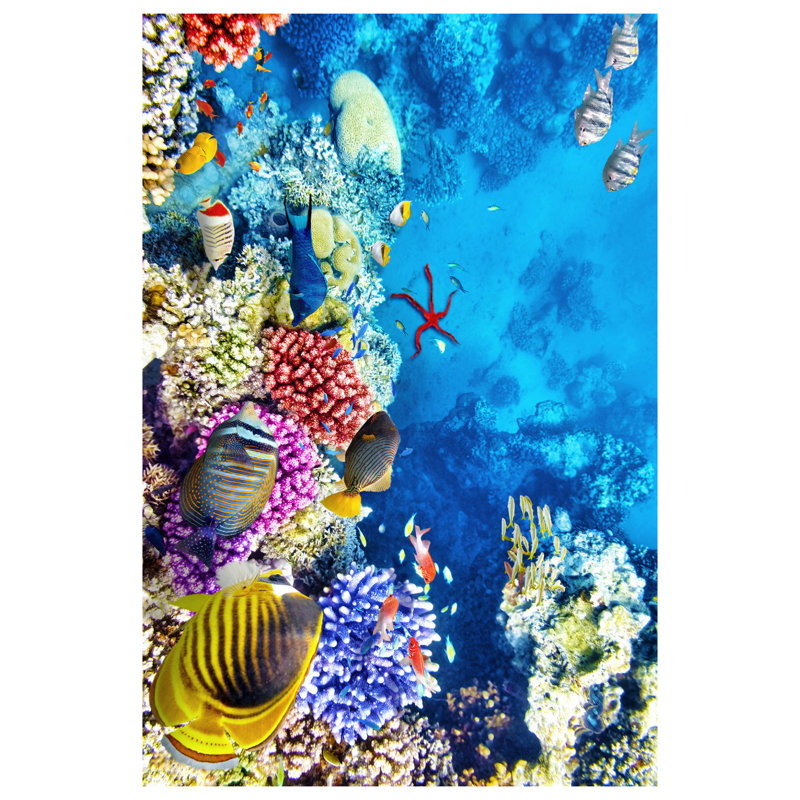Albro Indoor Rug