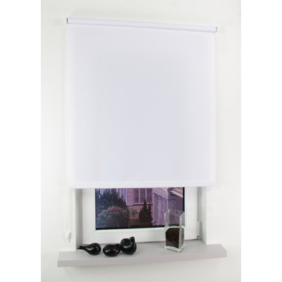 Opaque Roll-Up Shade