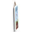 Sports Wall Decor-350509627