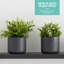 Abelius Pot Planter-1920344984