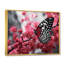 Claymoore, rose, papillon noir, refuge sur toile-1225308306-1225310082
