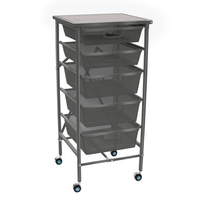5 Drawer Rolling Storage Chest