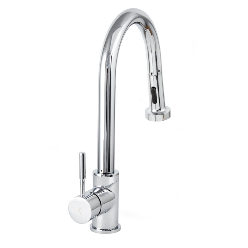 Monet Single Handle Kitchen Faucet with Side Spray and Accessories, Chrome