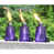 Purple is out of stock