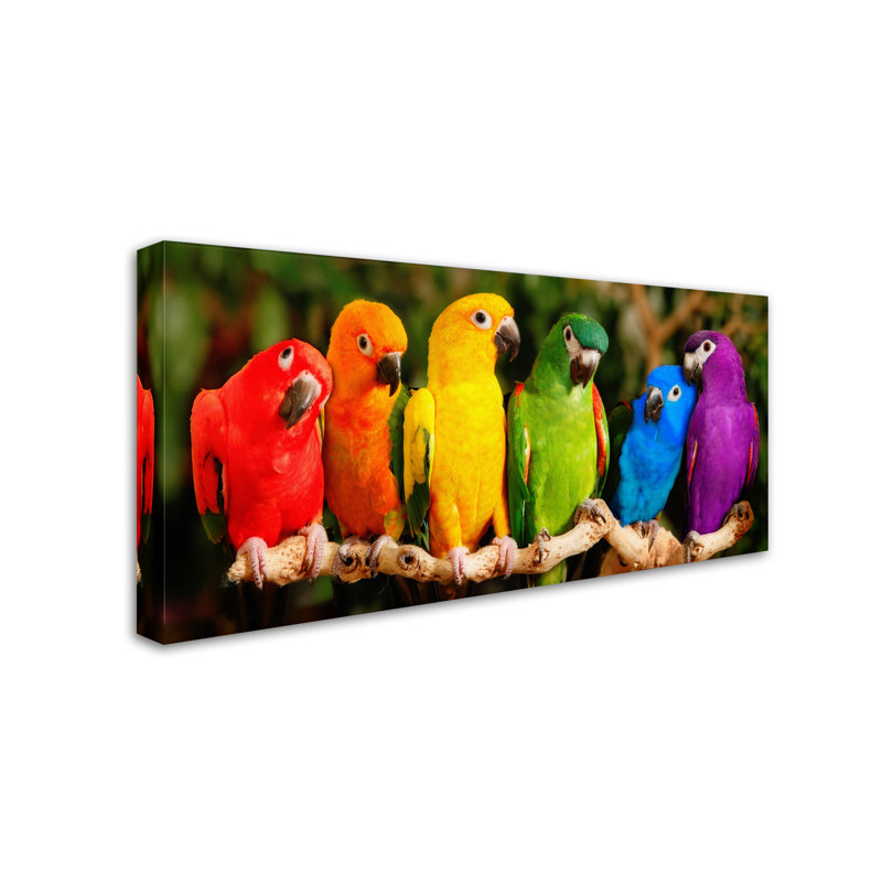«Alexan Rainbow Parrots» par Photo - reproduction de photo sur toile tendue, H 10 po x l 19 po
