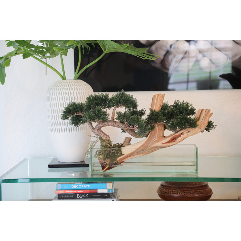 16'' Faux Cedar Tree in Glass Vase