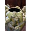 Vase en céramique et grenouilles en céramique