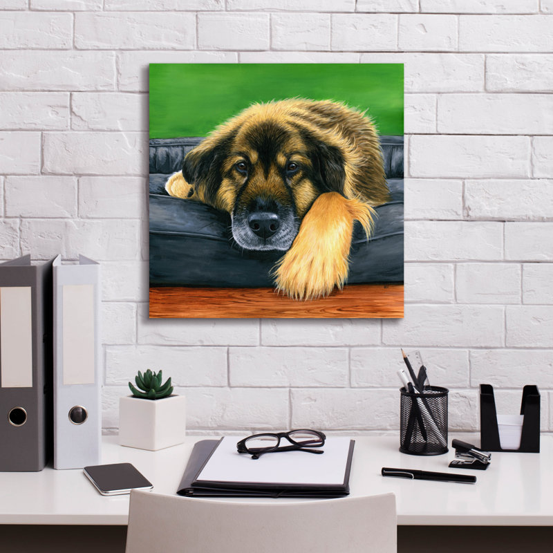 «Cute Shepherd Mix Dog» par Rebecca Wang, art mural sur toile, 37 po x 37 po, H 18 po x l 18 po x P 0,75 po