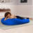 Nimbus Spandex Large Bean Bag Chair & Lounger-14691609