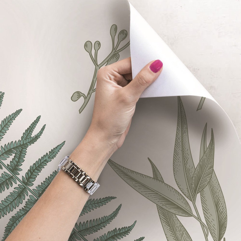 Allphin 2.5m x 2.5m Matte Mural, 416 x 254cm
