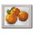 " Citrus Grouping I "-307740079-313185230