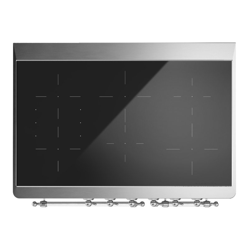 Majestic III Series 40 Inch Induction Range with 6 Induction Elements in Stainless Steel (Brass Trim), Stainless Steel