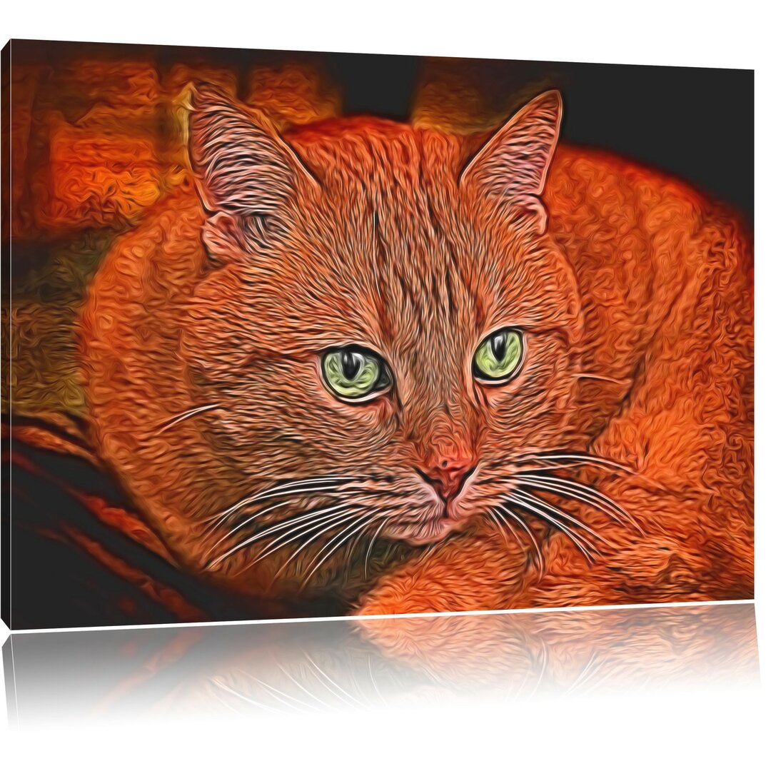 Leinwandbild Schöne Hauskatze in Orange