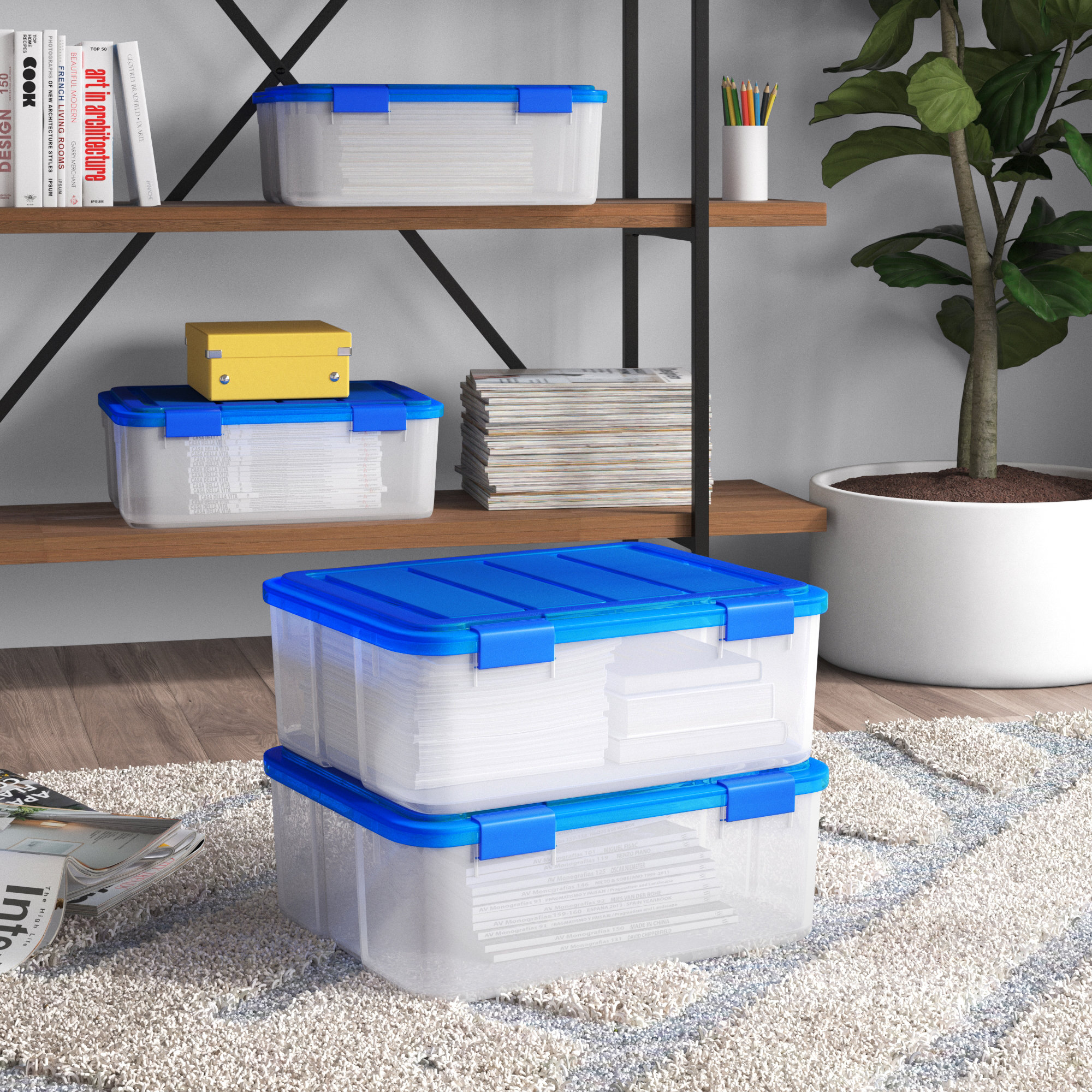 IRIS USA, Inc. Element Resistant Ultimate Clear Storage Box & Reviews ...