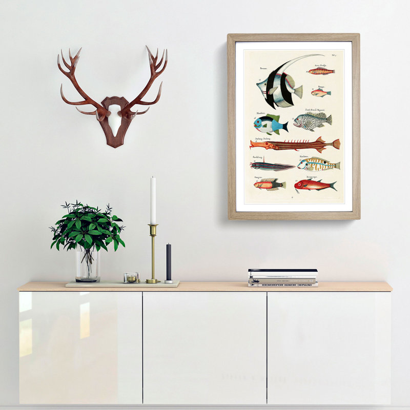 East Indies Fish Illustrations Fol. 3 by Louis Renard - Picture Frame Painting Print, 65cm H x 48cm W x 2cm D, Oak Framed