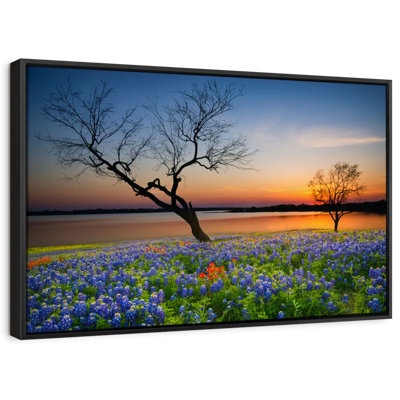 Faul Texas Sunset Canvas Print
