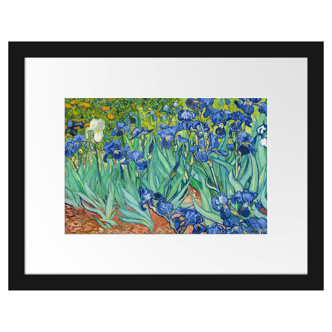 Gerahmter Kunstdruck Irises von Vincent Van Gogh