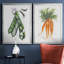 «Garden Fresh Peas», ensemble de 2 reproductions d'art-1379655724-1379656660-1379656667