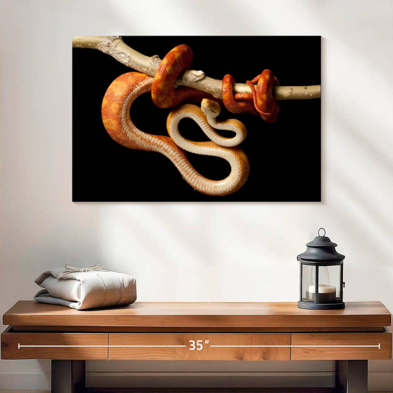 Brampt Red Tailed Boa, 16" H x 24" W