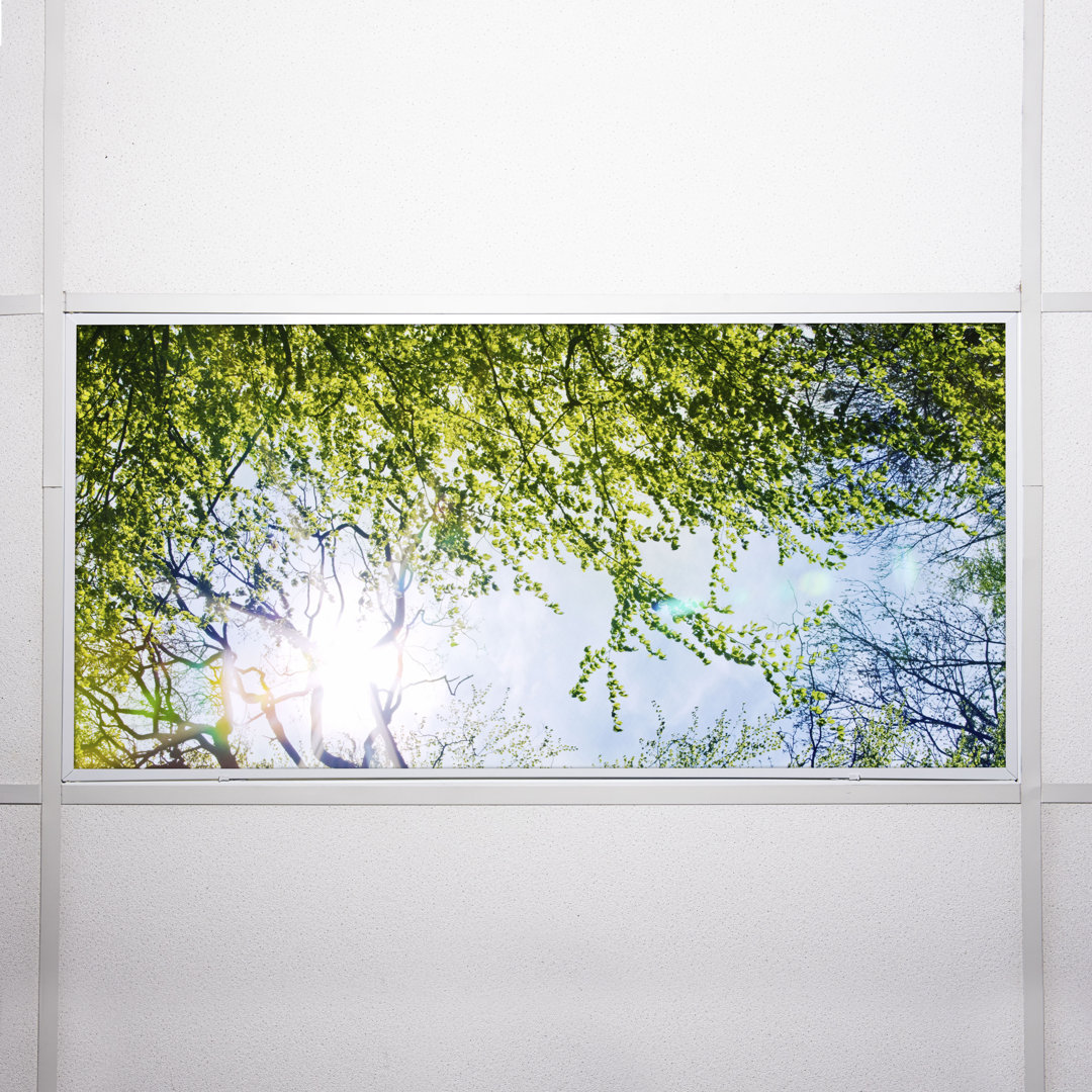 Tree Classroom Fluorescent Light Covers for Ceiling Lights - For 2x4 Light Fixture - by Octo Lights Octo Lights