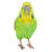 Budgerigar with Iron Foot Statue