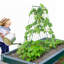 Treillis de jardin pliable en forme de A en concombre 46 po x 32 po