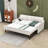 Chasan Upholstered Daybed-912485481