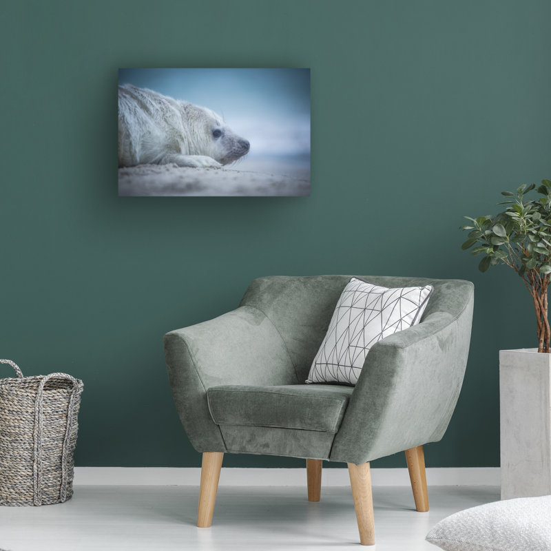 Art sur toile Lucie Pesakova, H 16 po x l 24 po