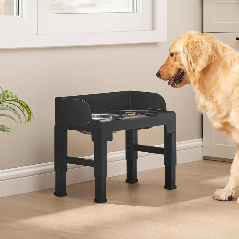 Bols pour chien surélevés Feandrea				, Noir