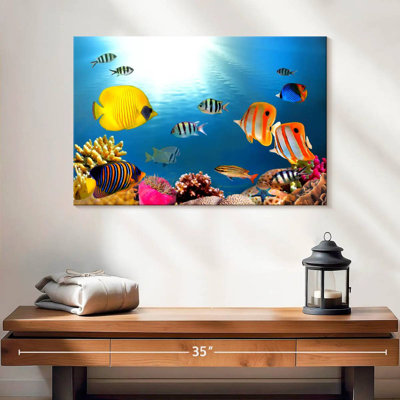 Poissons tropicaux et coraux