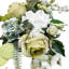 «Elegant Verdant Elegance» - Ensemble de 2