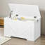 Pensiero Accent Wooden Storage Chest Box